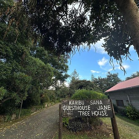 Guesthousejane Villa & Apartments ナイバシャ エクステリア 写真