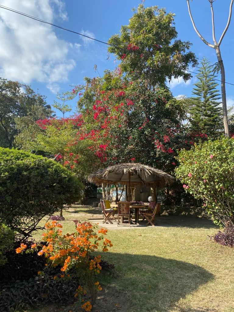 Guesthousejane Villa & Apartments ナイバシャ エクステリア 写真