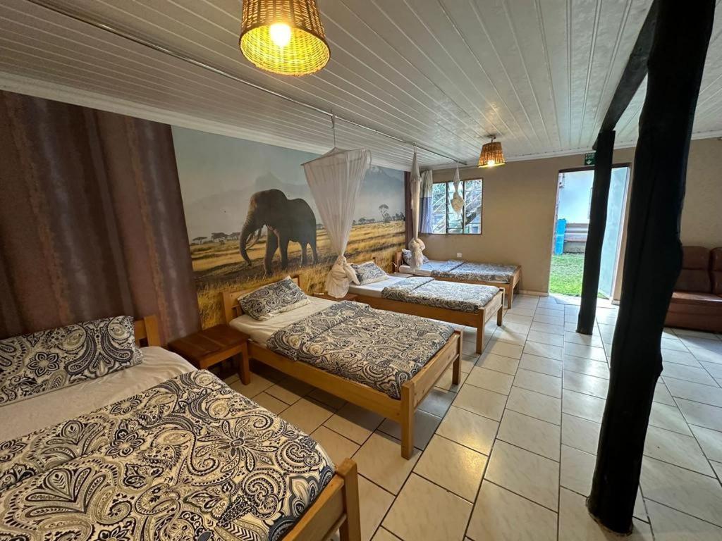 Guesthousejane Villa & Apartments ナイバシャ 部屋 写真
